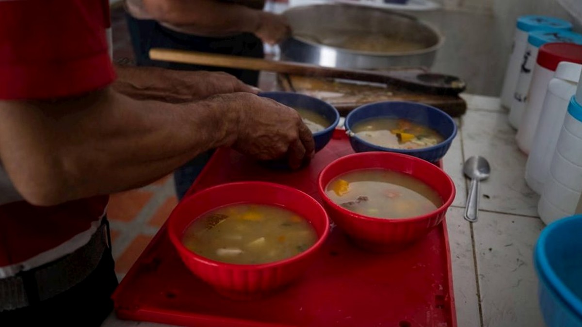 Alimentación