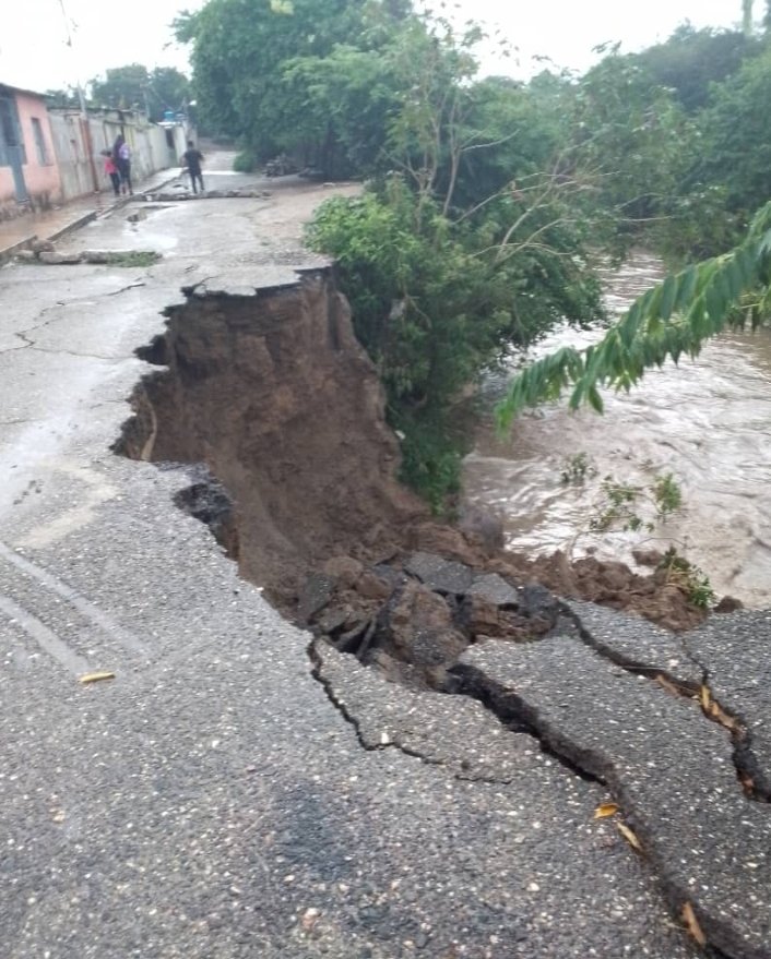 Lluvias en Barquisimeto provocan caída de árboles y socavamiento de vía