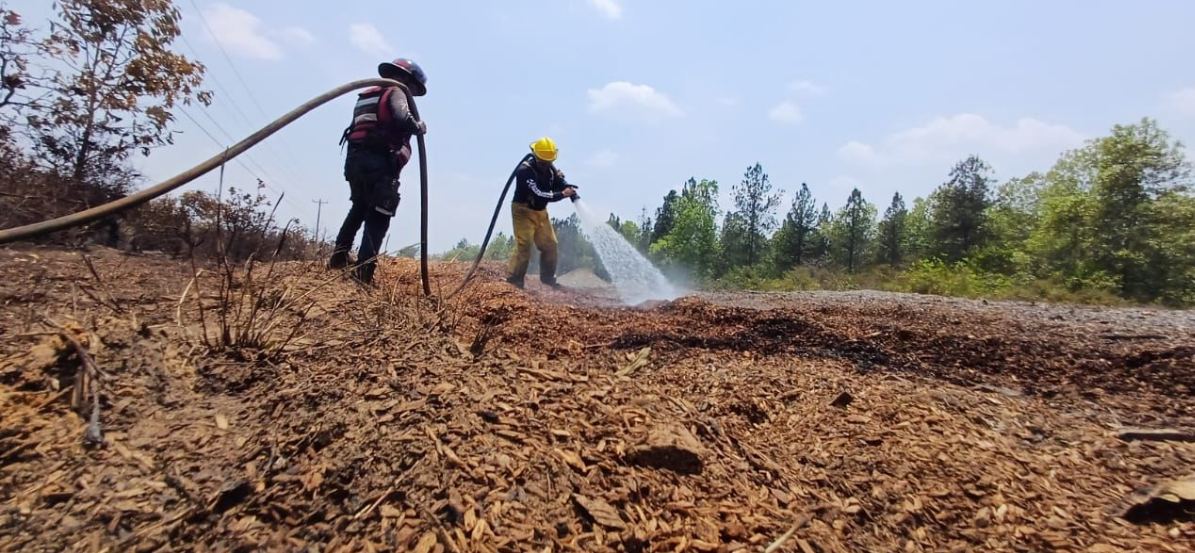 incendio uverito