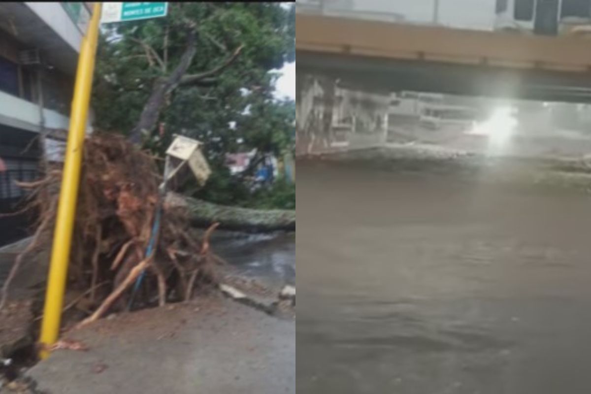Avenidas y viviendas anegadas y árboles caídos por lluvias en Carabobo