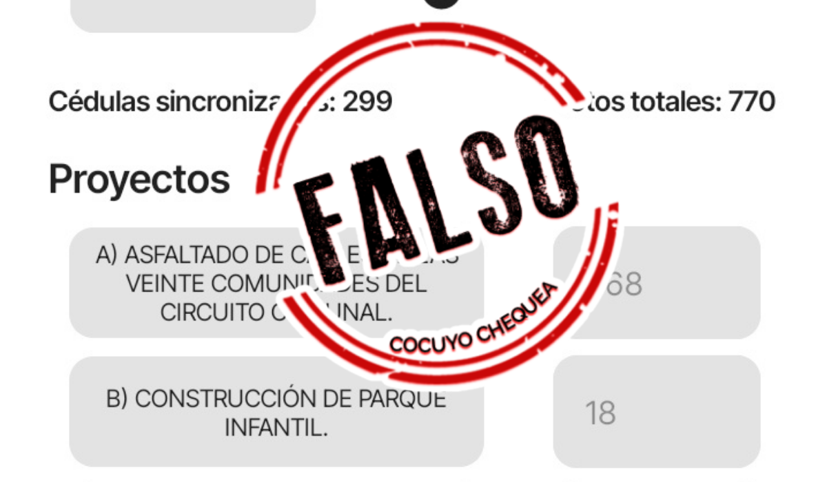 El chavismo dijo que la consulta fue "éxito"