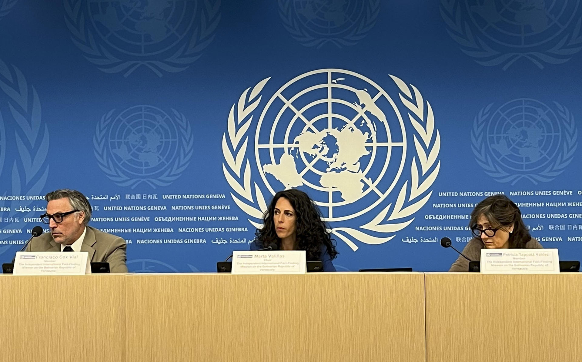 Misión de la ONU para Venezuela: Gobierno comete crimen de lesa humanidad de persecución