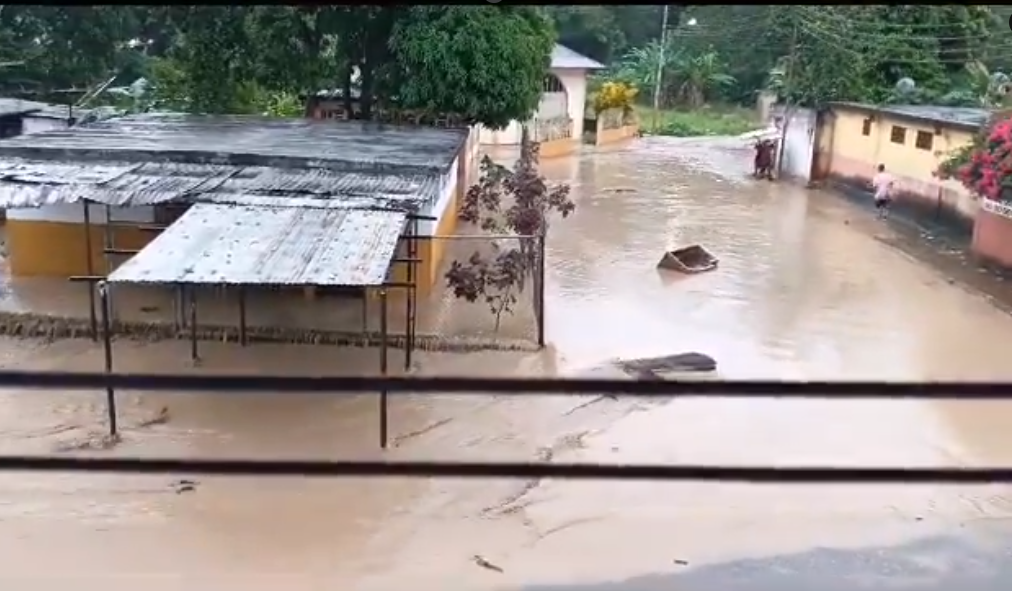 cumanacoa