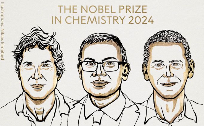 Nobel de Química por el diseño computacional de proteínas y predicción de su estructura