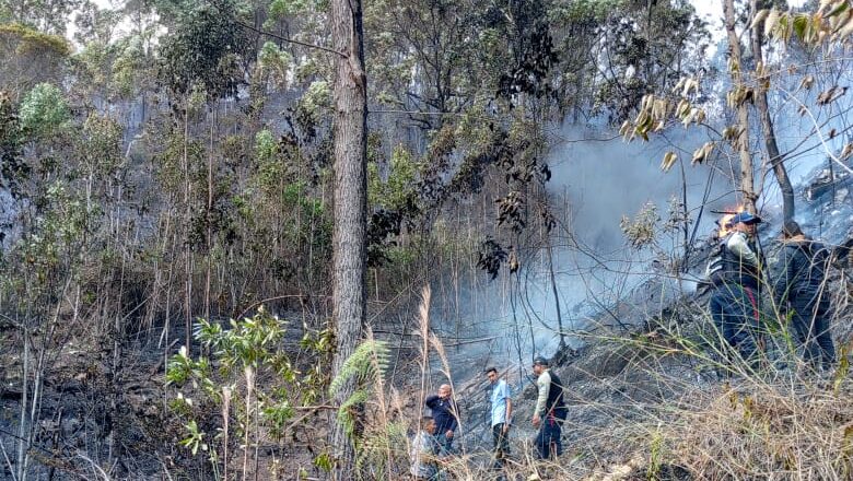 Fallecen tripulantes de una avioneta que se precipitó en El Hatillo