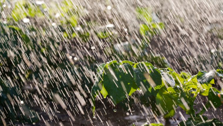 Habrá lluvias dispersas y descargas eléctricas en zonas de Venezuela