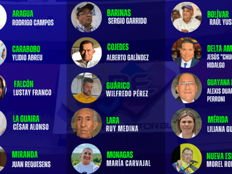 Represión, baja disposición y negociaciones influyen en oferta electoral de UNT y Única para gobernaciones, según analistas