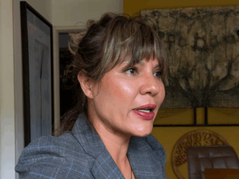 Violaciones de DDHH se agravaron luego de presidenciales: 9 claves de la entrevista con la abogada Martha Tineo