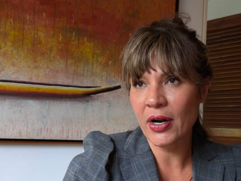 La participación ciudadana y el activismo no pueden seguir siendo criminalizados, señala abogada Martha Tineo 