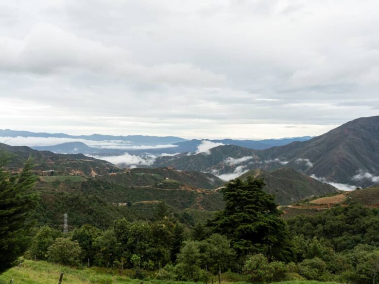 Coca, frontera y política: los intereses detrás de la guerra en el Catatumbo