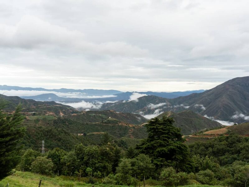 Coca, frontera y política: los intereses detrás de la guerra en el Catatumbo