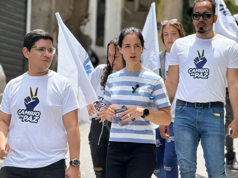 Mercedes Malavé: Será difícil contrarrestar discurso abstencionista pero insistiremos en la ruta electoral  