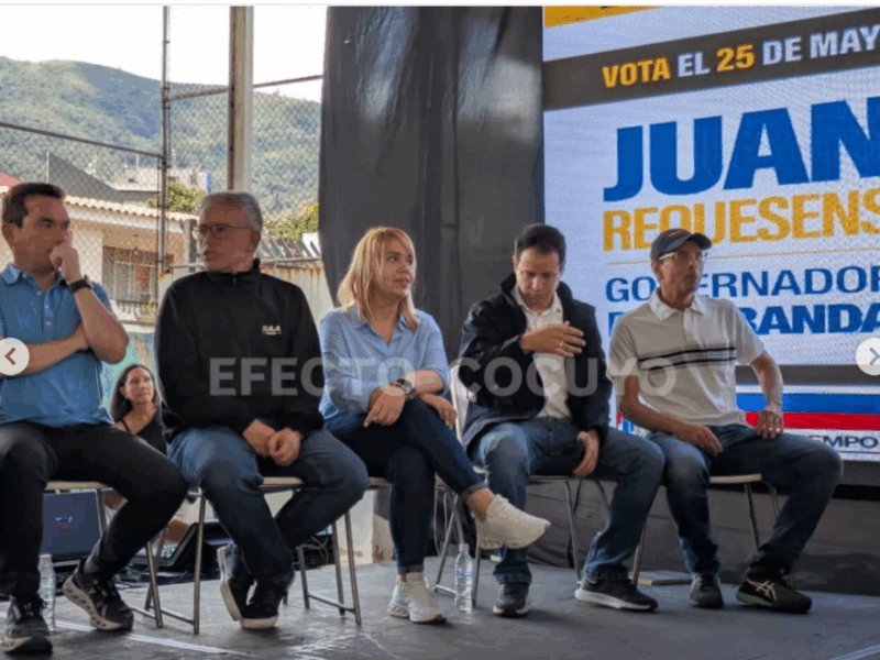 Llamados a votar para el 27 de julio no abundan: por qué calla la dirigencia nacional opositora según politólogos
